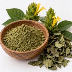 Barleria lupulina Powder 100g | Hop-headed Barleria image 4