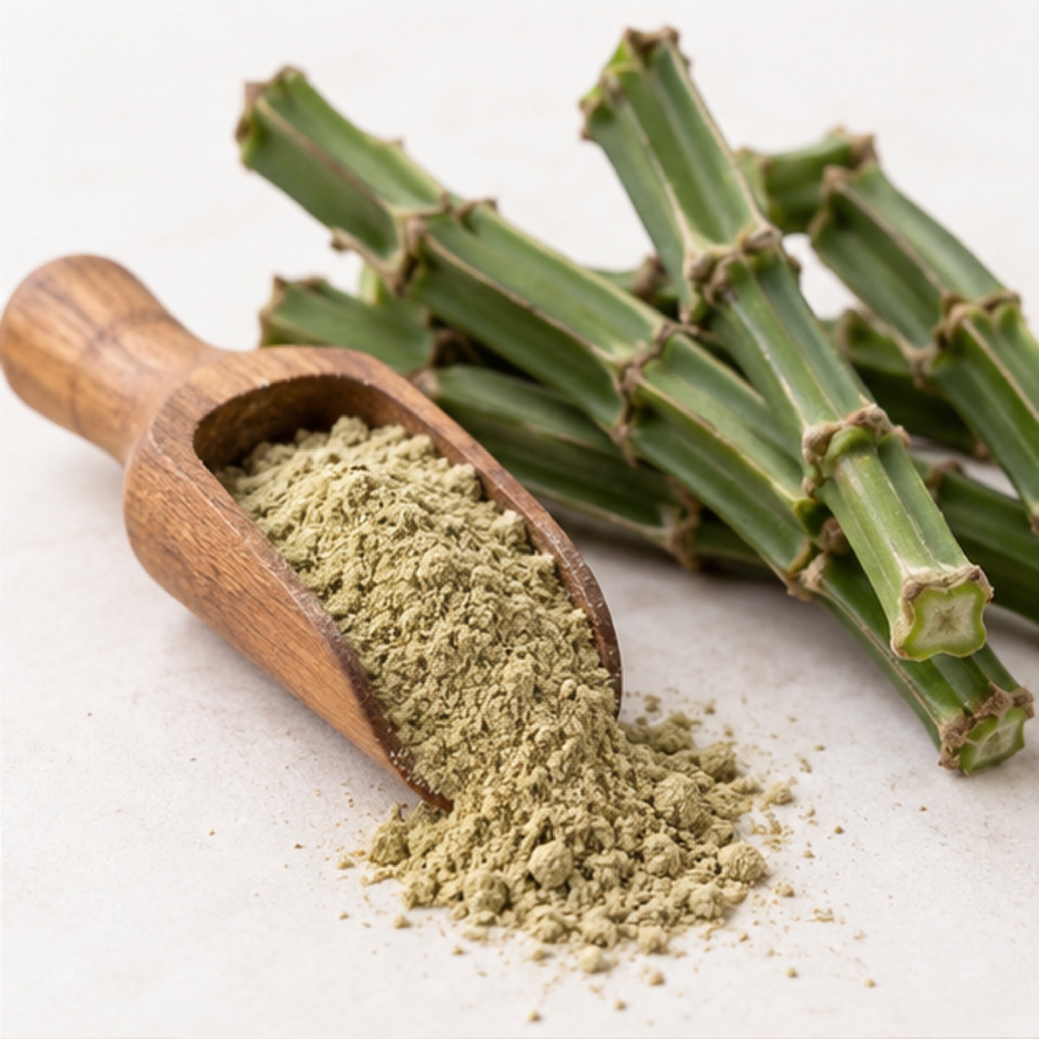 Cissus Quadrangularis Powder 100g. image 2