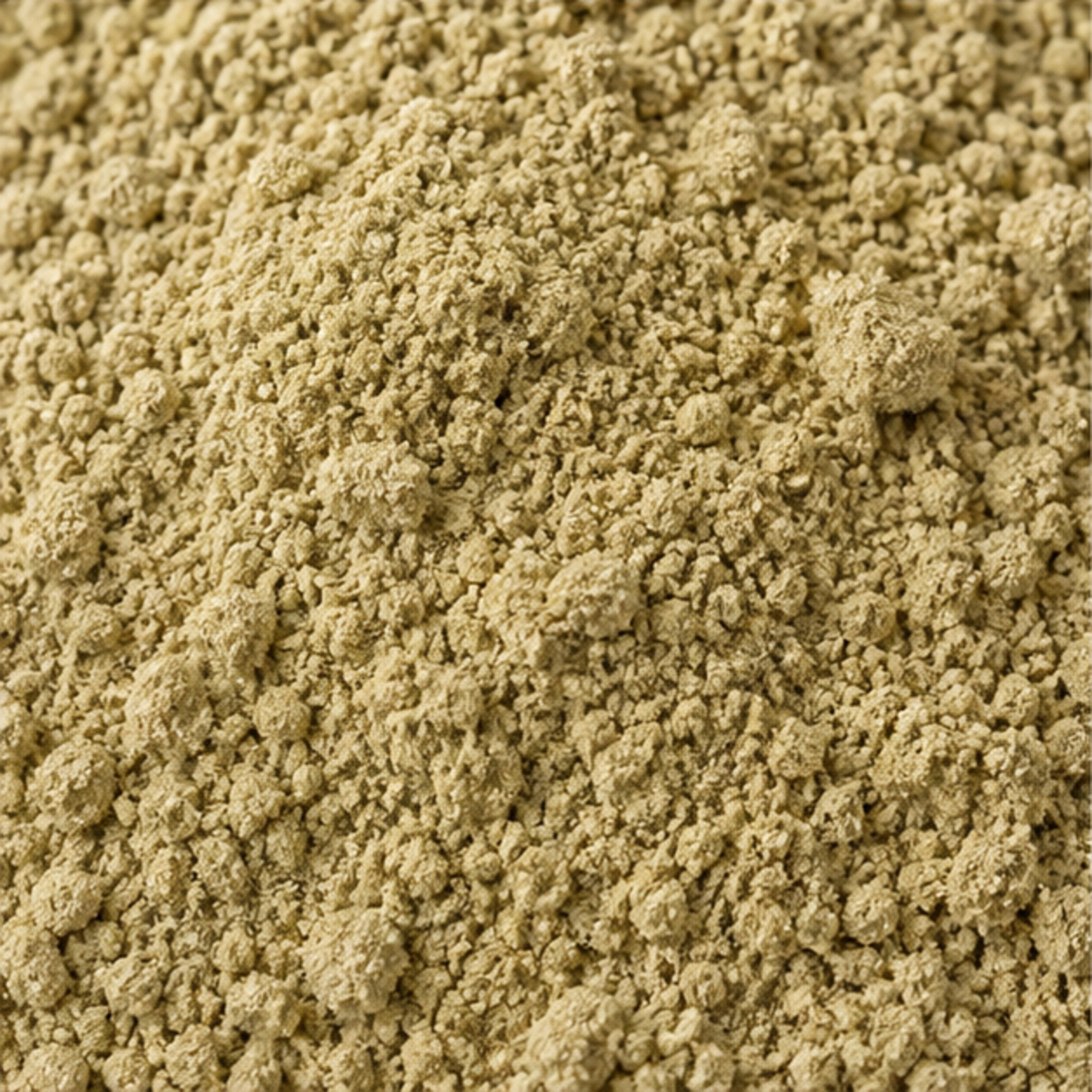 Cissus Quadrangularis Powder 100g. image 3