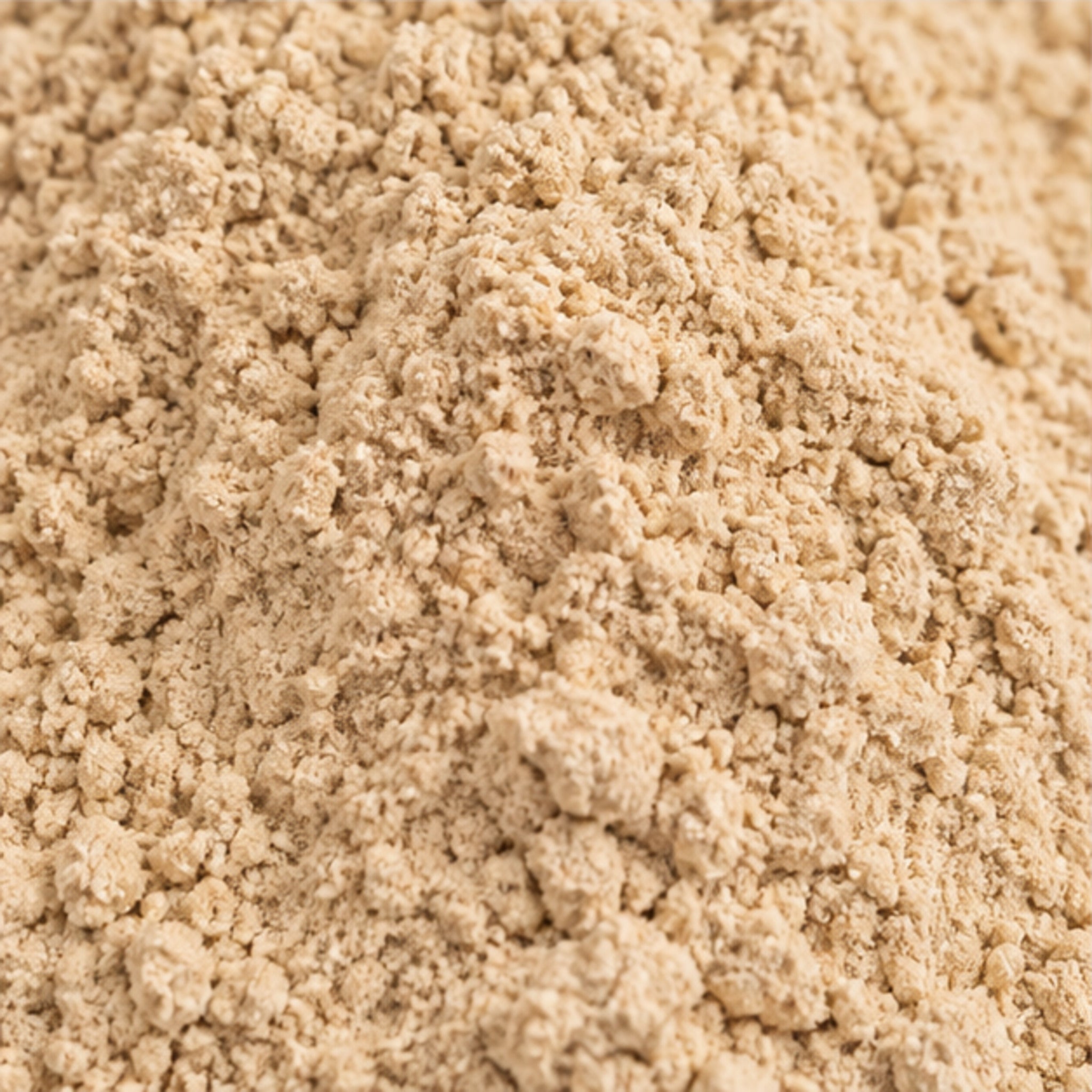 Kaempferia Galanga Powder 100g | Aromatic Ginger image 3
