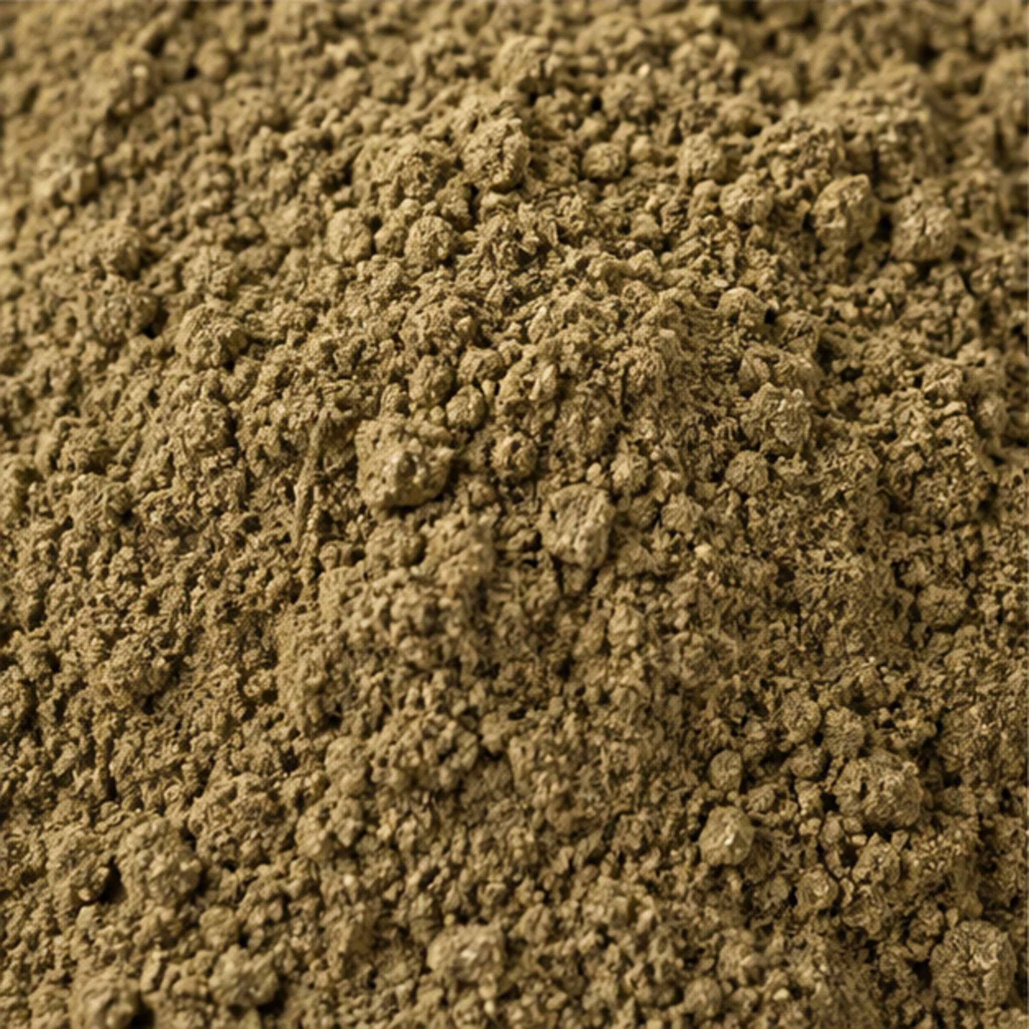 Prickly-leaved elephant's foot Powder 100g. Elephantopus scaber image 3