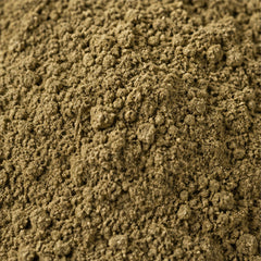 Prickly-leaved elephant's foot Powder 100g. Elephantopus scaber image 3