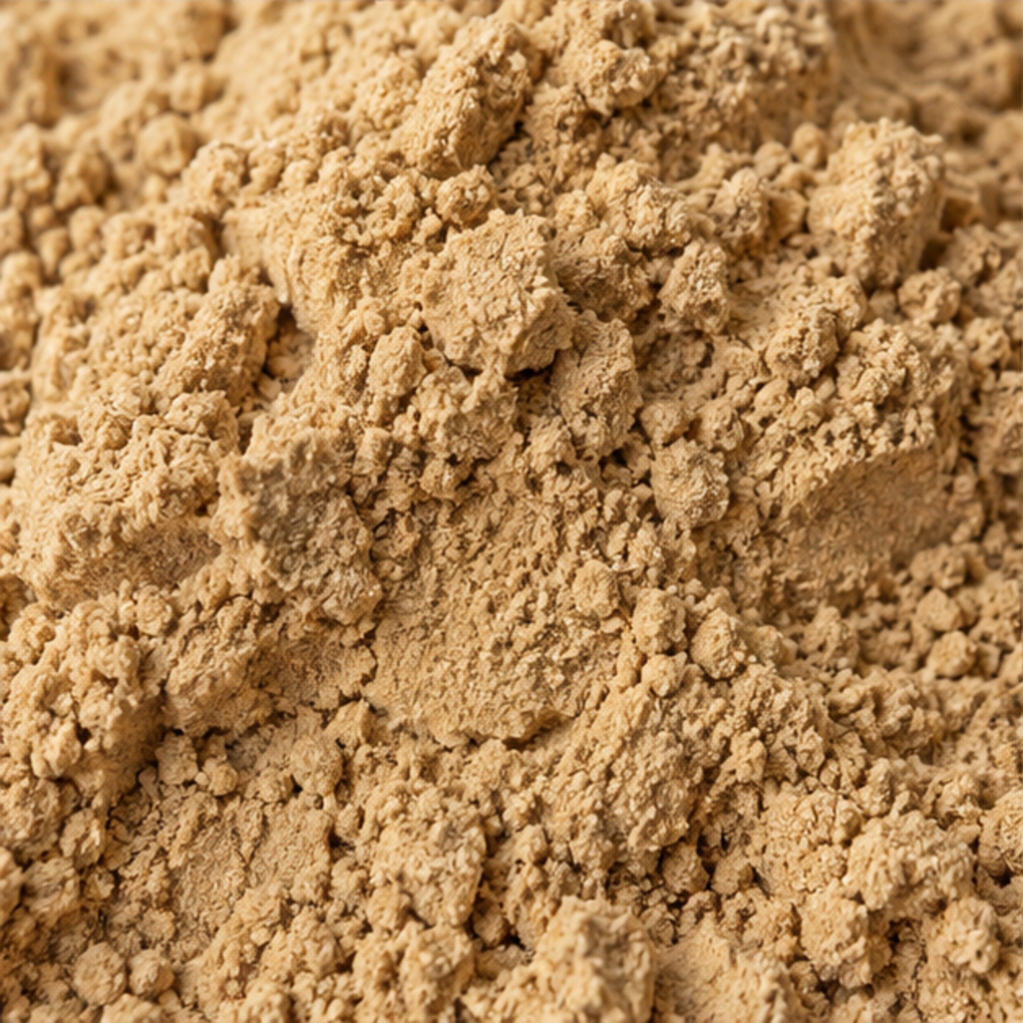 Dong Quai Root Powder 100g | Angelica sinensis image 3
