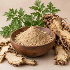 Dong Quai Root Powder 100g | Angelica sinensis image 4