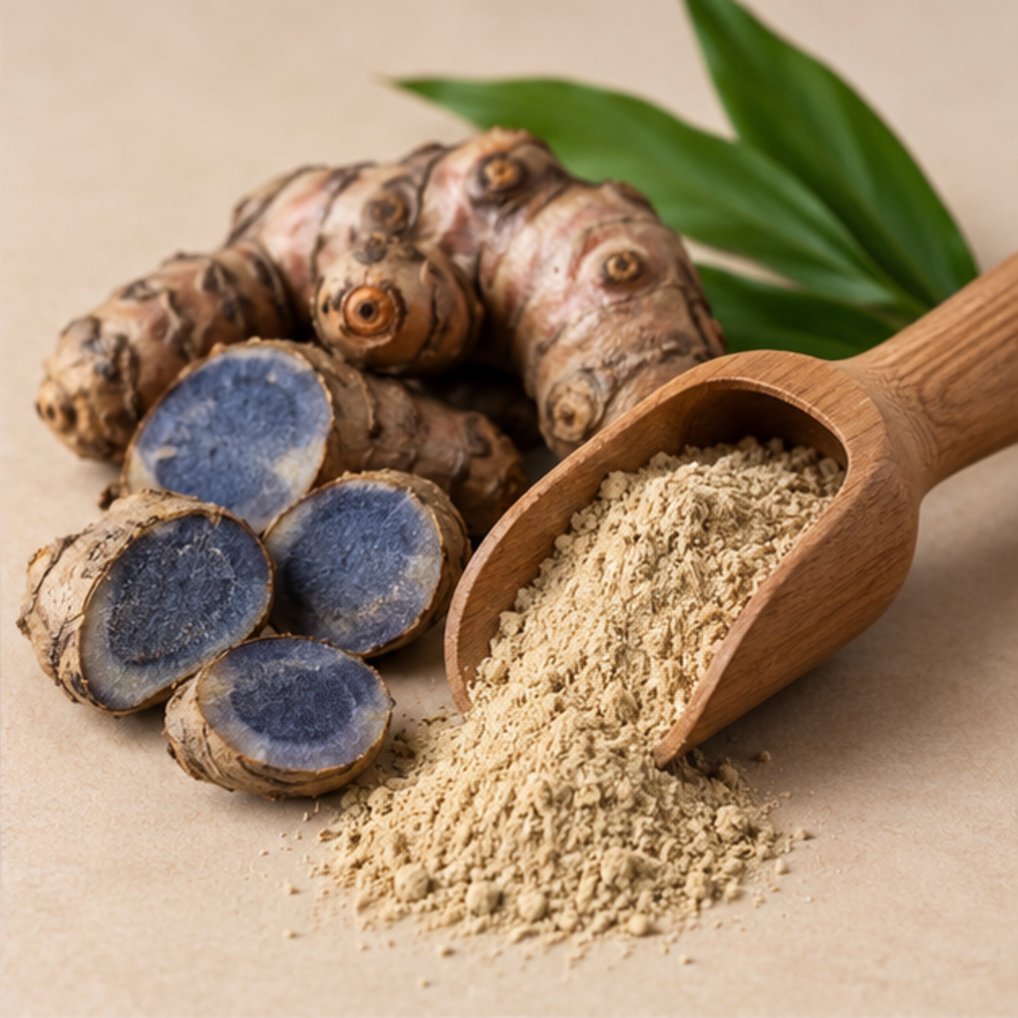 Curcuma Aeruginosa roxb Powder 100g. image 2