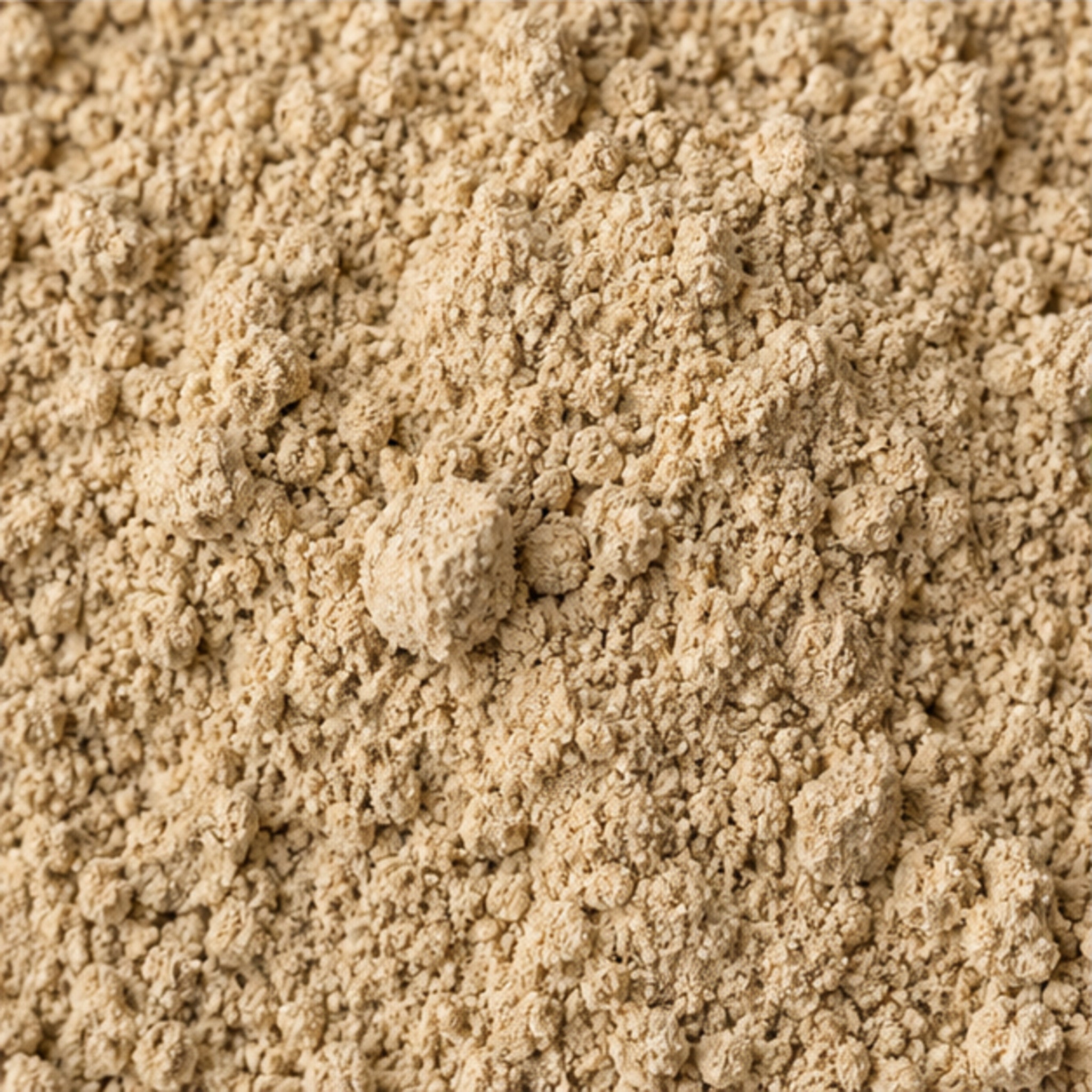 Curcuma Aeruginosa roxb Powder 100g. image 3