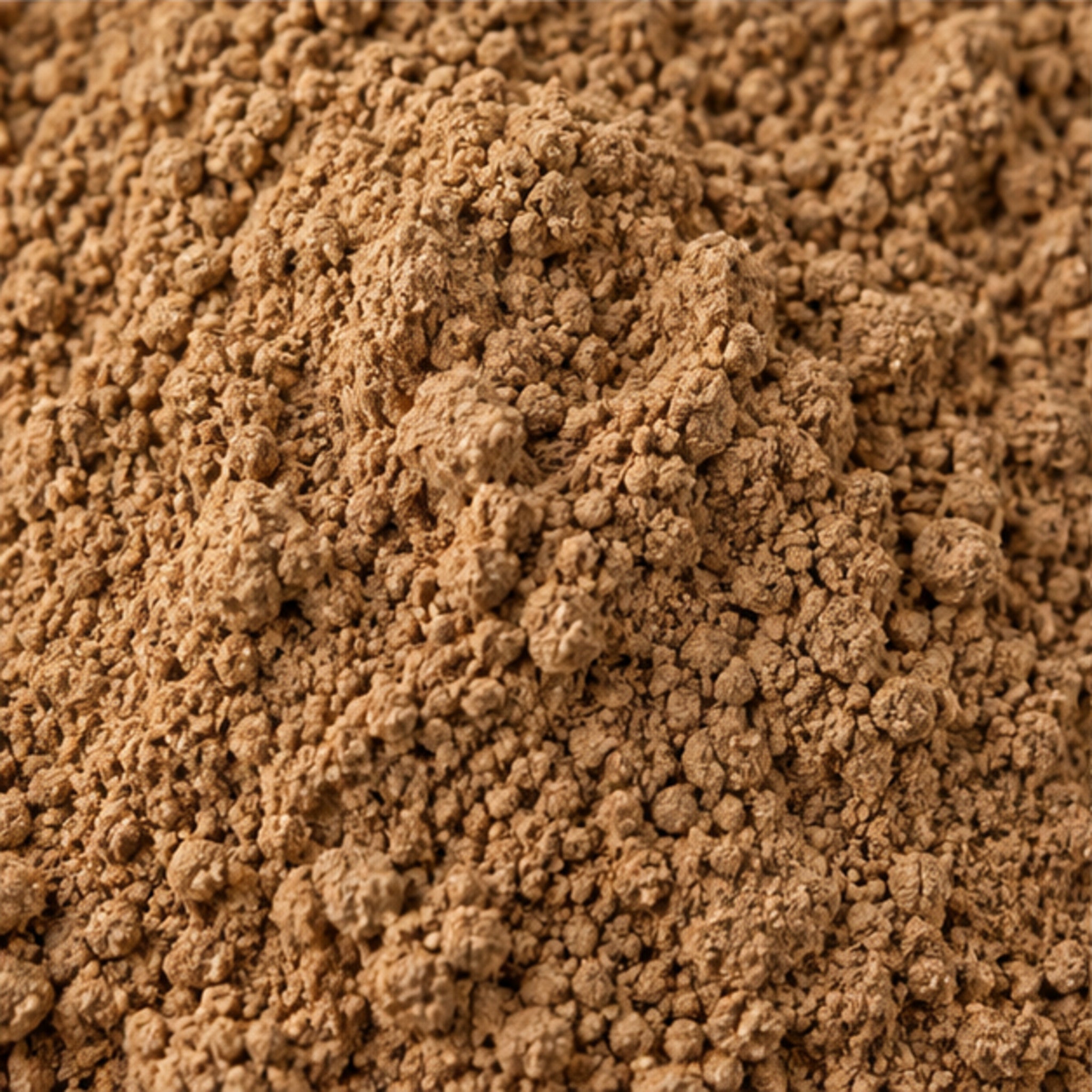 Cryptolepis Buchanani Powder 100g | Cryptolepis Dubia image 3