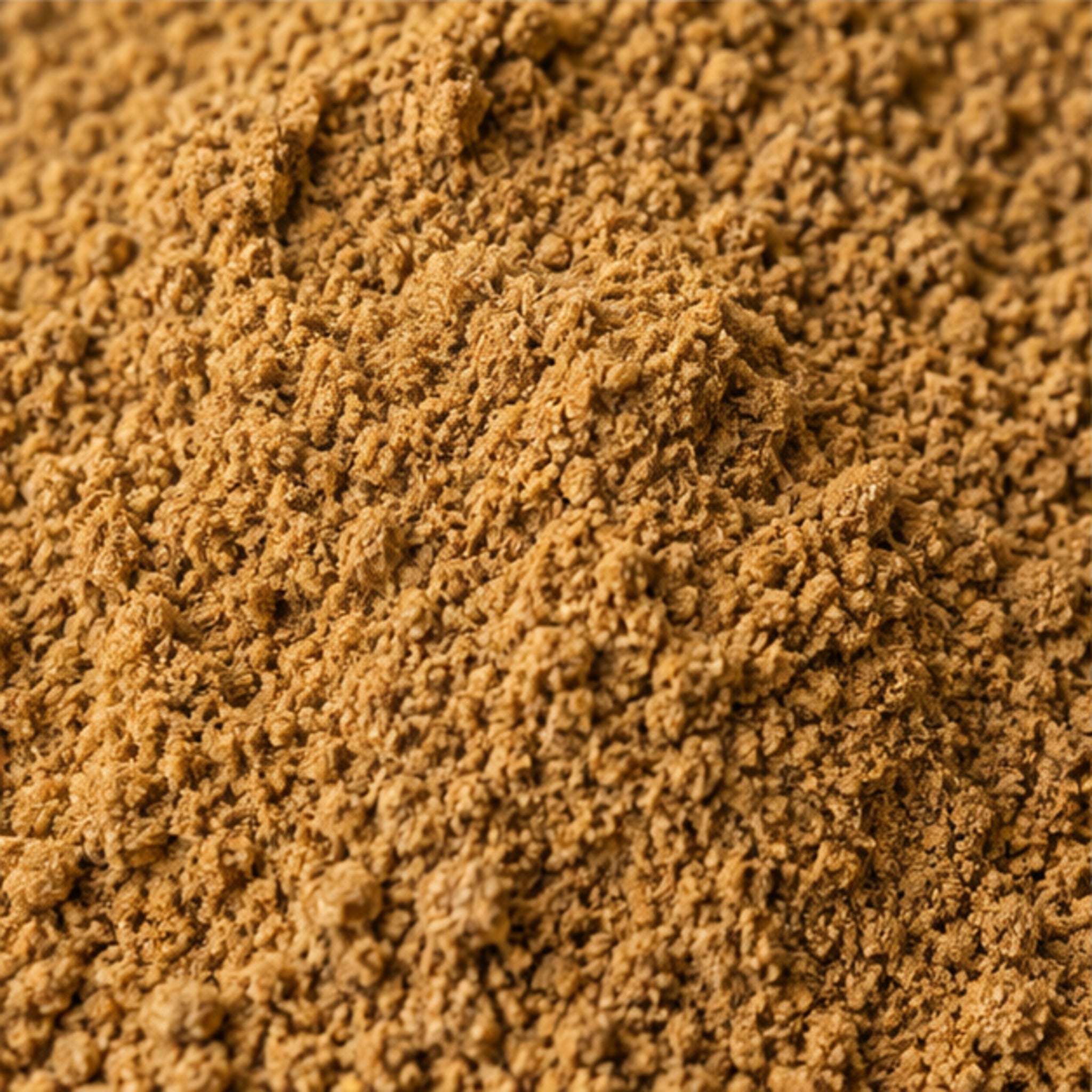 Hypoxis Aurea Powder 100g | Star Grass image 3