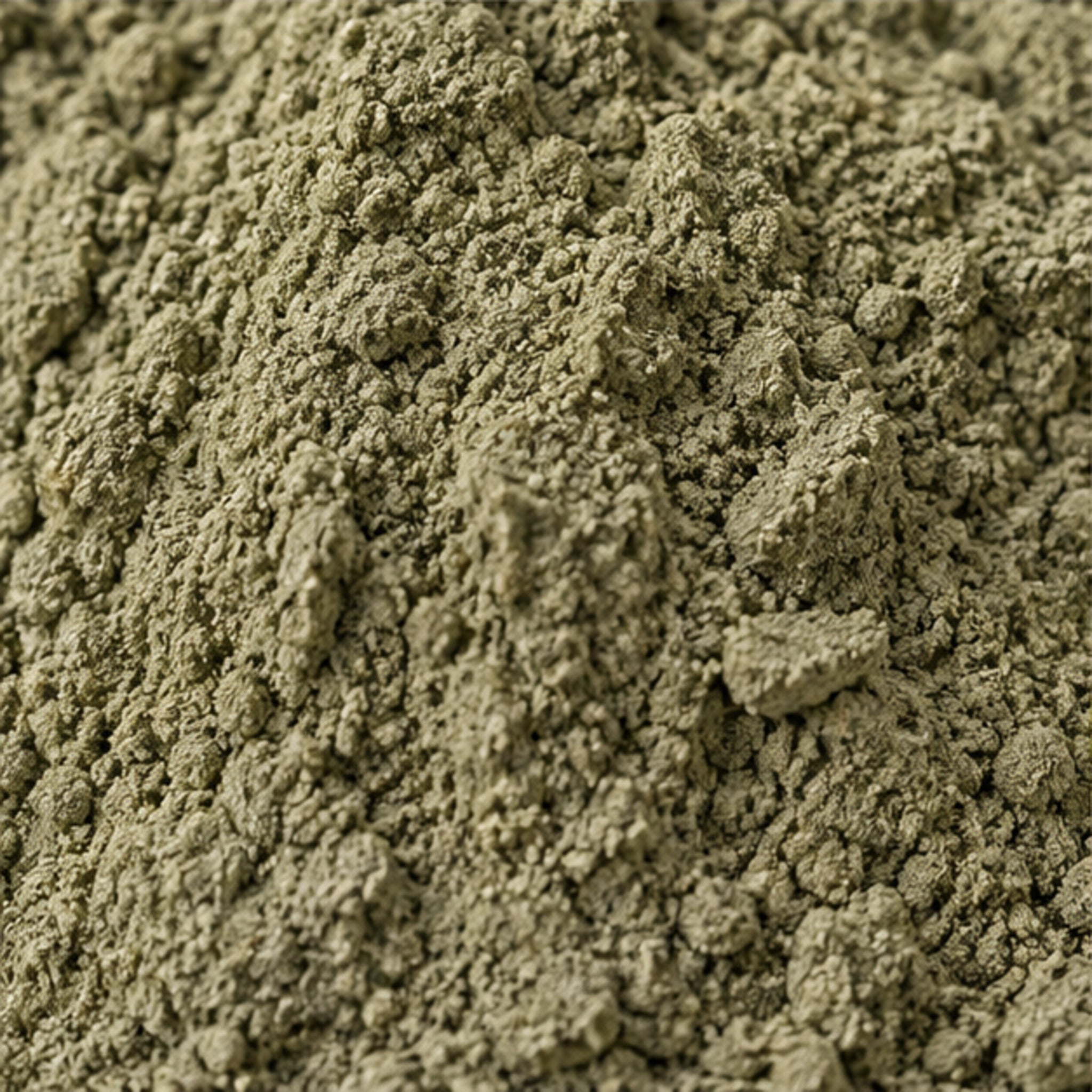 Vitex trifolia L Powder 100g. image 3