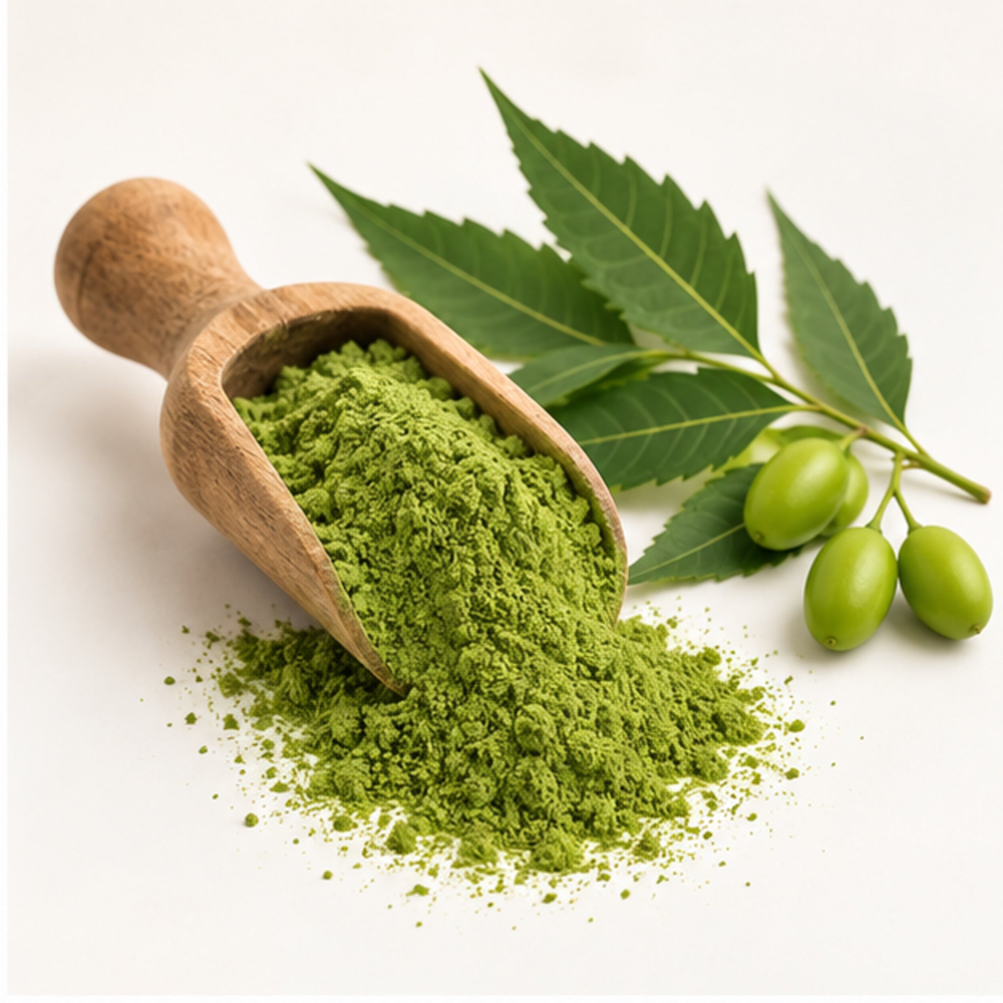 Siamese Neem Powder 100g. Azadirachta indica var. siamensis image 2