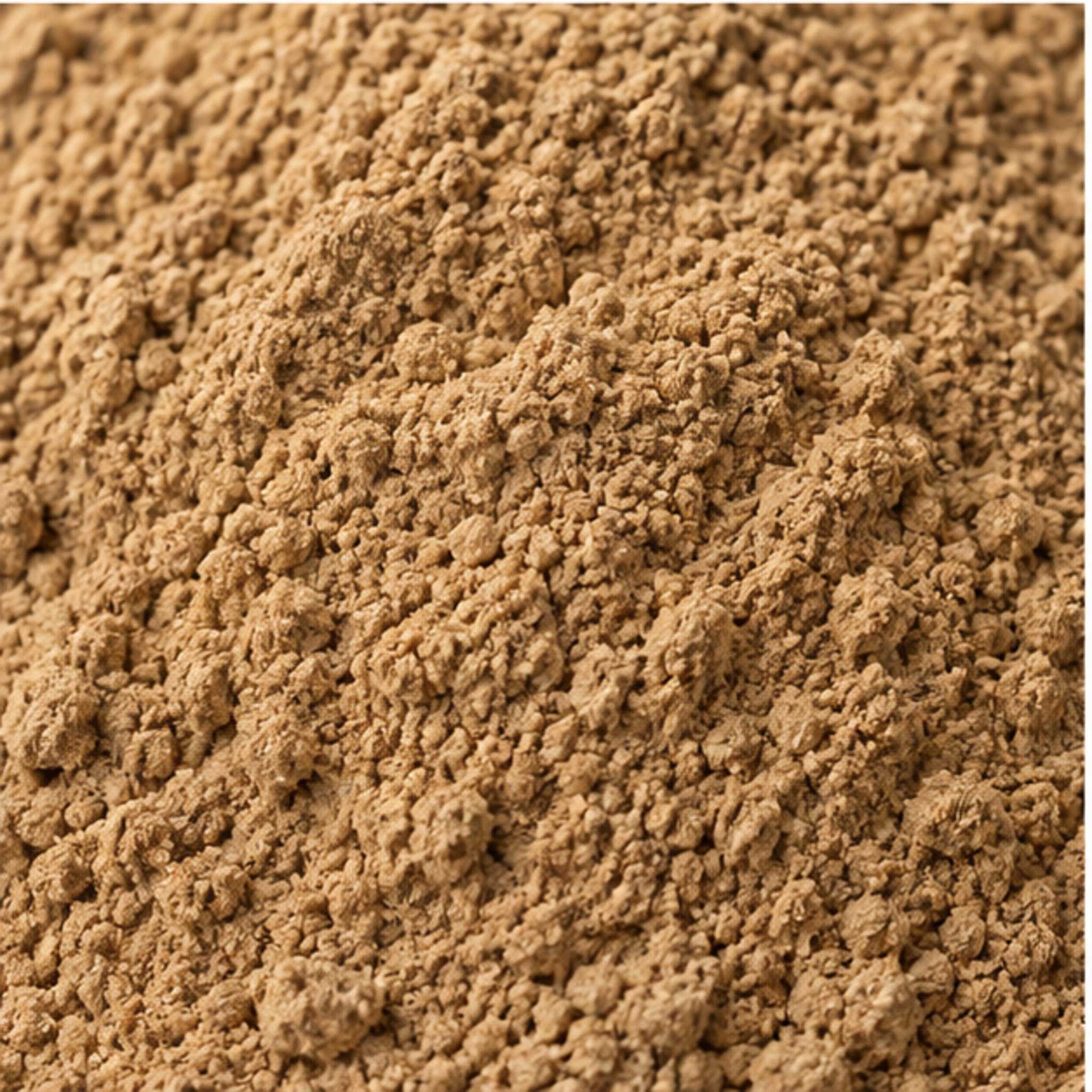 Bibhitaki Terminalia Bellirica Powder 100g. image 3