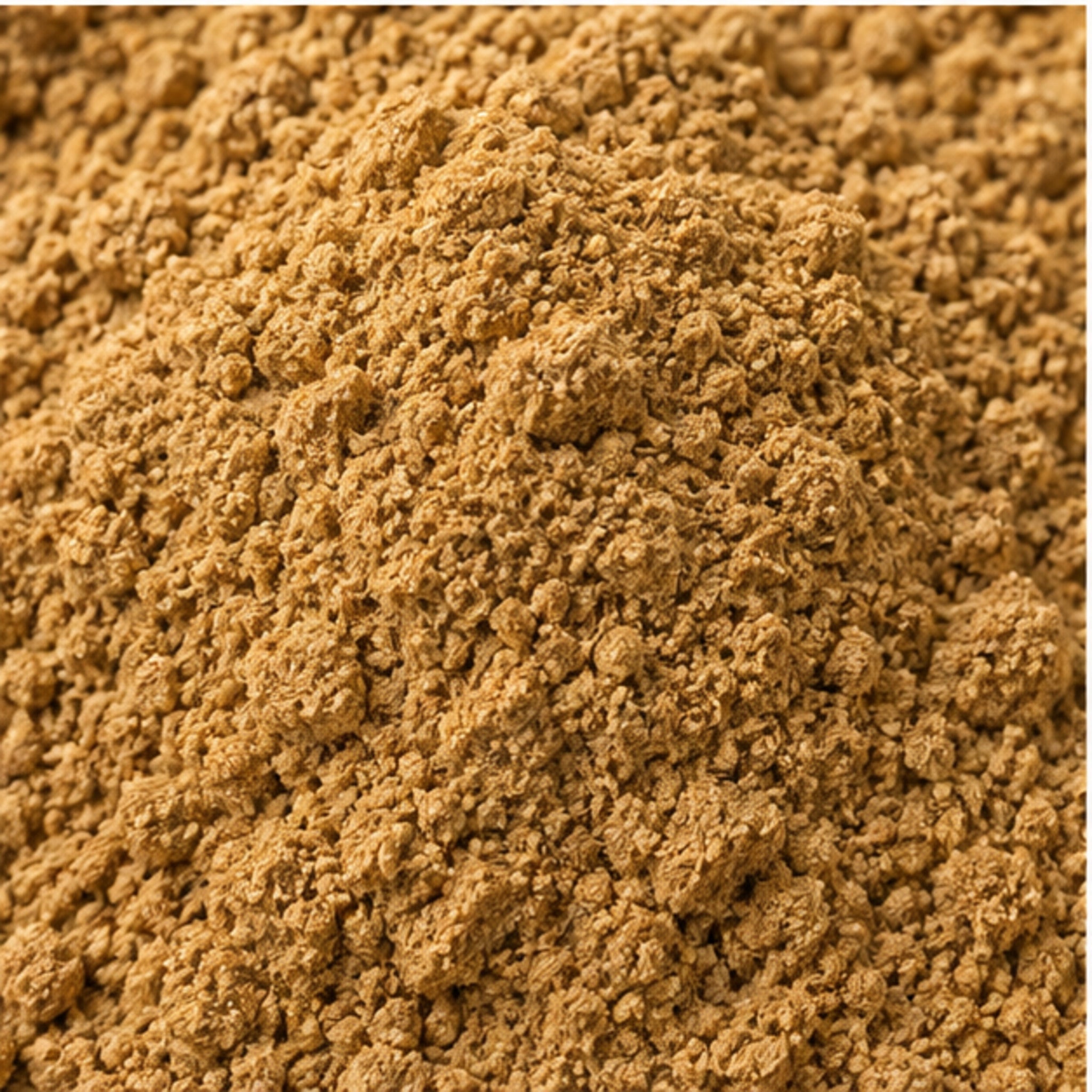 Haritaki Terminalia Chebula Powder 100g. image 3