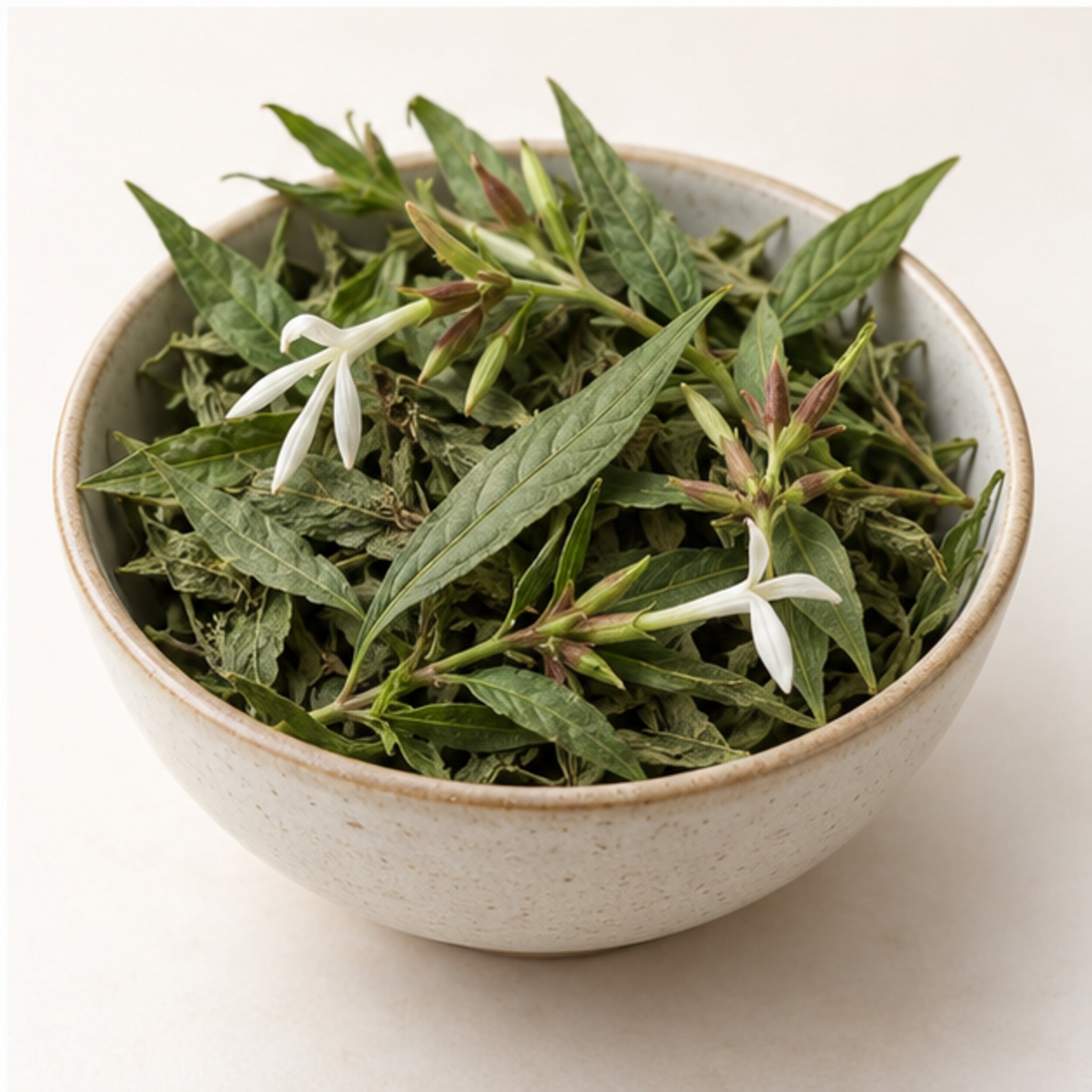 Rhinacanthus Nasutus Powder 100g. image 4