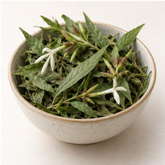 Rhinacanthus Nasutus Powder 100g. image 4