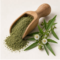 False Daisy White Head Powder 100g image 2
