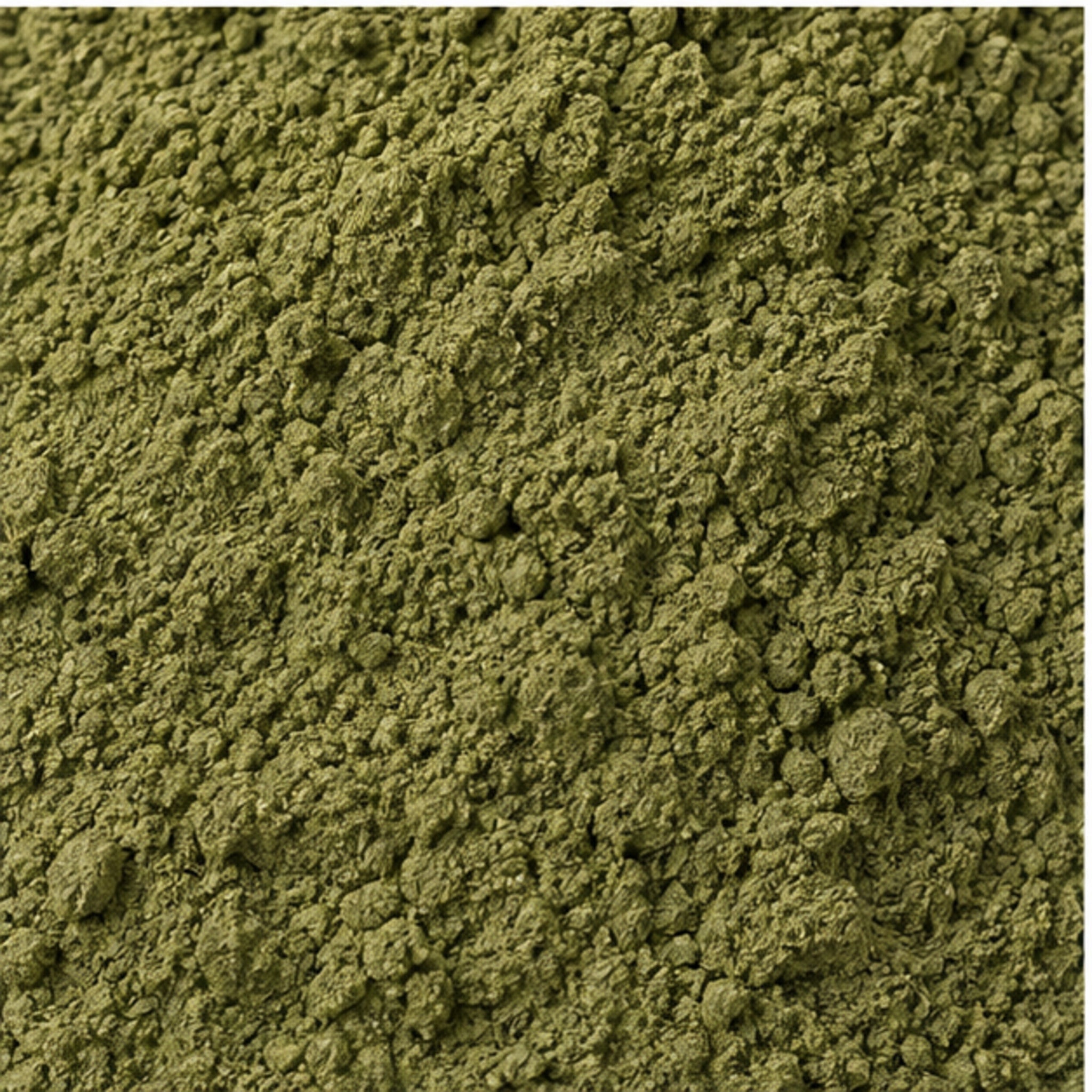 Bhringraj False Daisy White Head Powder 100g. image 3
