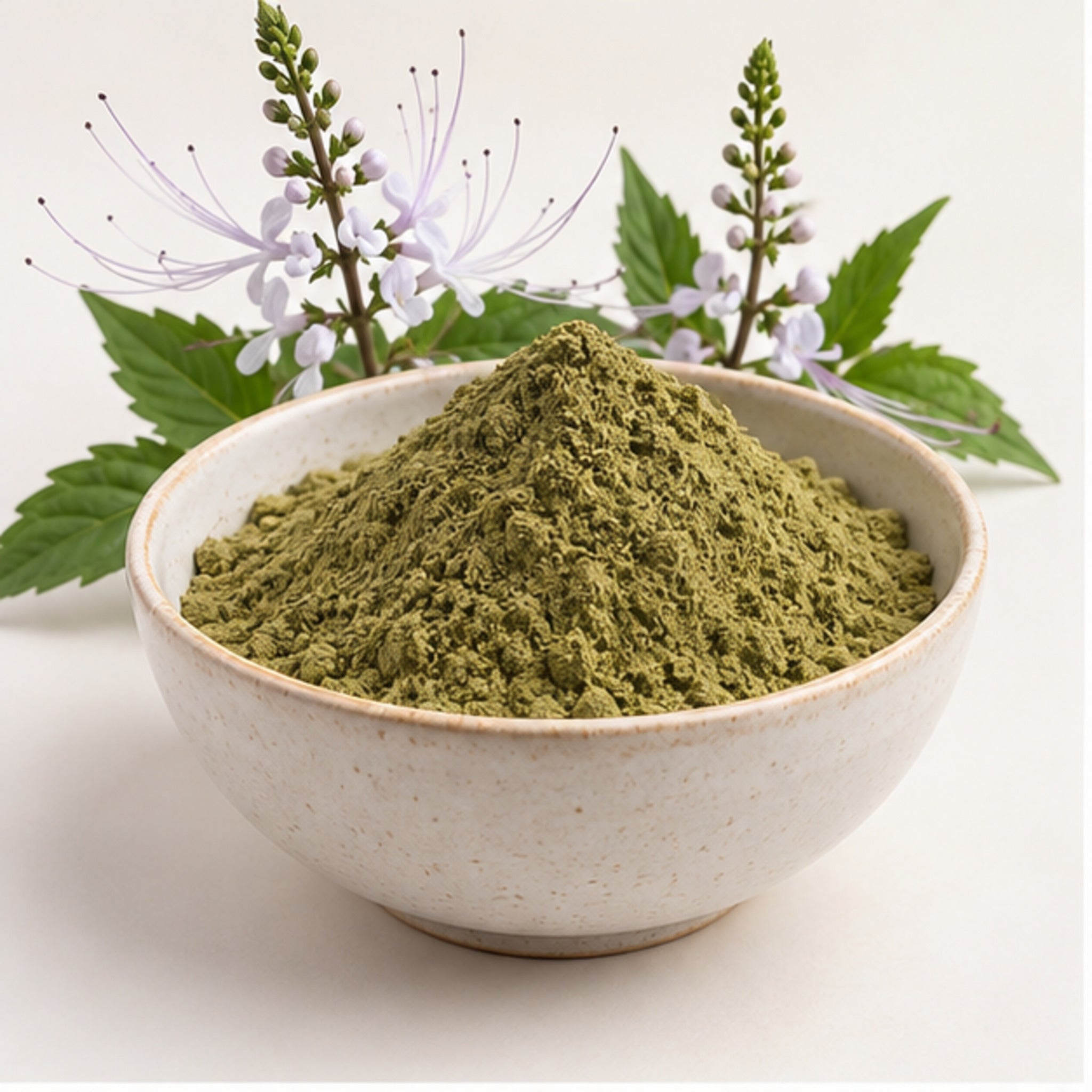 Orthosiphon aristatus Powder 100g | Cat's Whisker product image