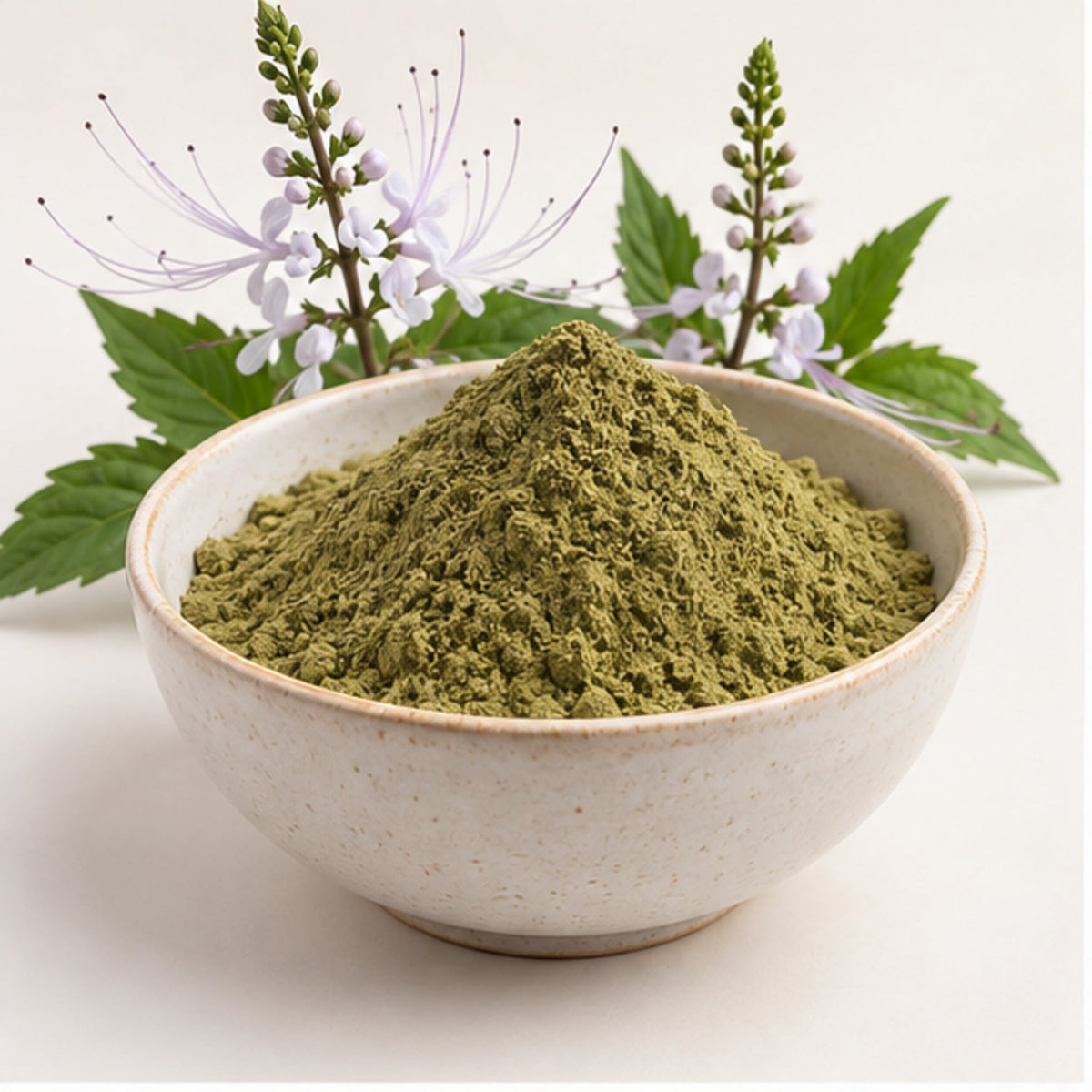 Orthosiphon aristatus Powder 100g | Cat's Whisker product image