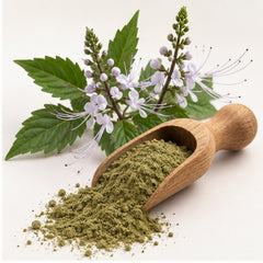 Orthosiphon aristatus Powder 100g | Cat's Whisker image 2
