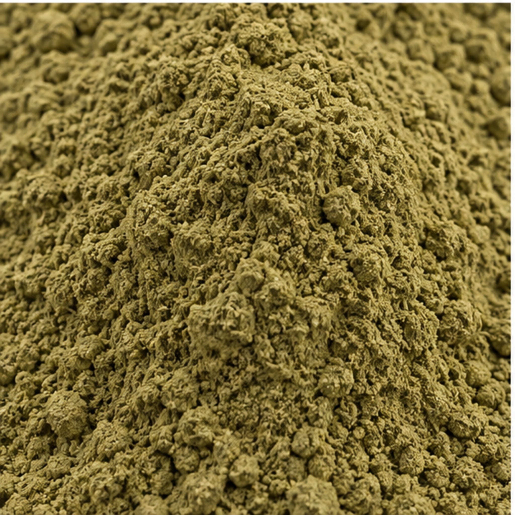 Orthosiphon aristatus Powder 100g | Cat's Whisker image 3