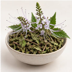 Orthosiphon aristatus Powder 100g | Cat's Whisker image 4
