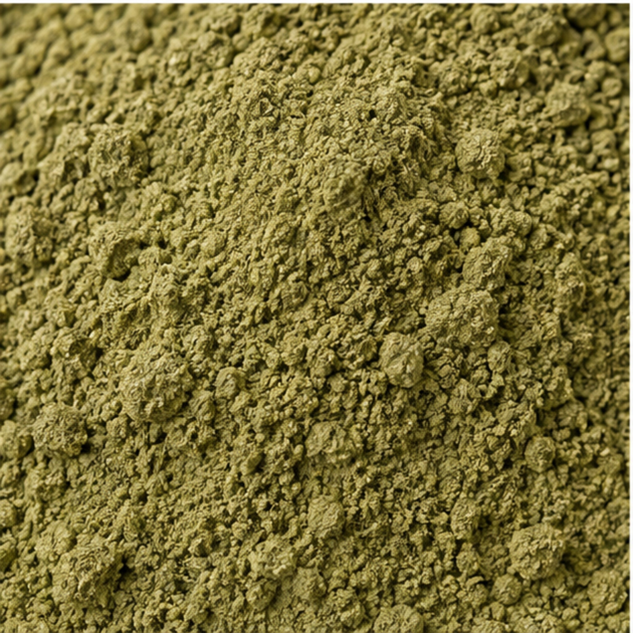 Andrographis Paniculata Kariyat Powder 100g. Green Chiretta image 3