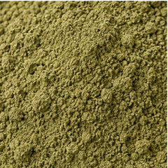 Andrographis Paniculata Kariyat Powder 100g. Green Chiretta image 3