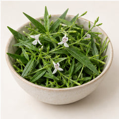 Andrographis Paniculata Kariyat Powder 100g. Green Chiretta image 4