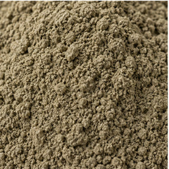 Marsh Fleabane Powder 100g. Pluchea indica image 3