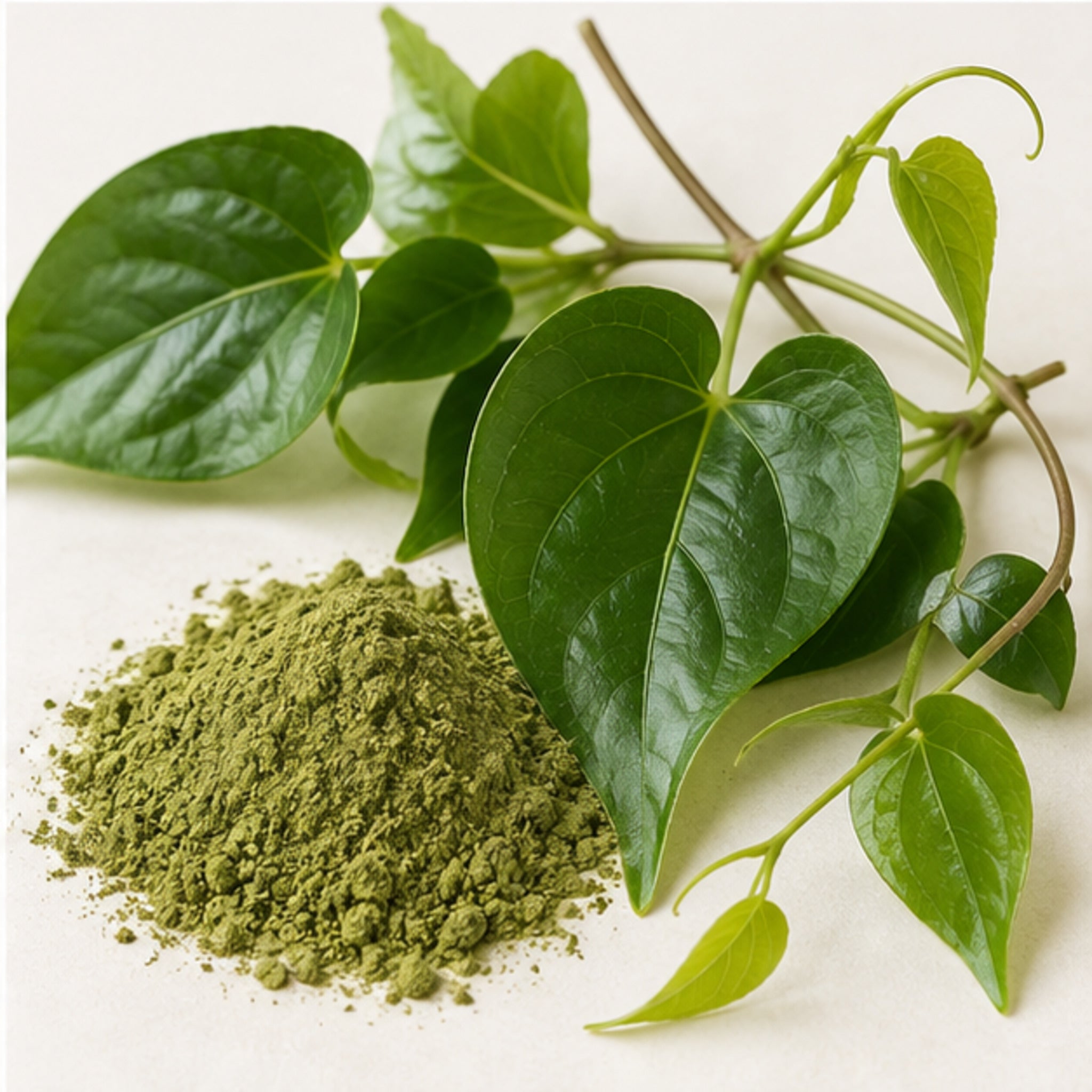 Tiliacora Triandra Leaf Powder 100g | Ya Nang image 4