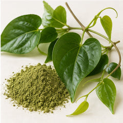 Tiliacora Triandra Leaf Powder 100g | Ya Nang image 4