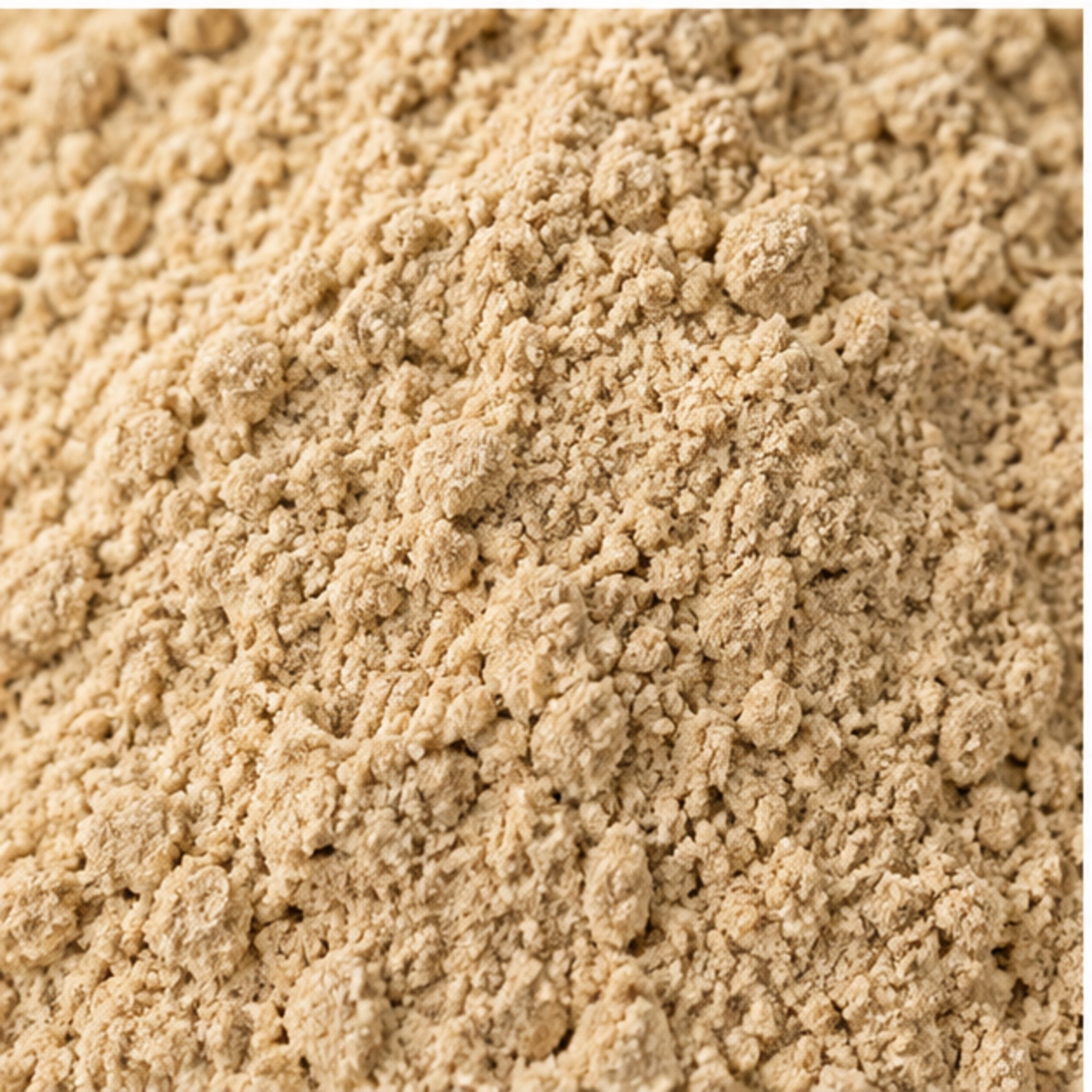 Amla or Indian Gooseberry Emblica Fruit Powder 100g. image 3