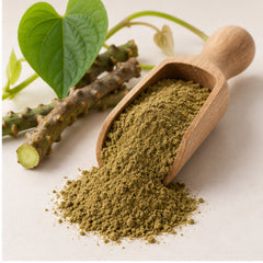 Heart Leaved Moonseed Powder 100g. Tinospora cordifolia vine image 2