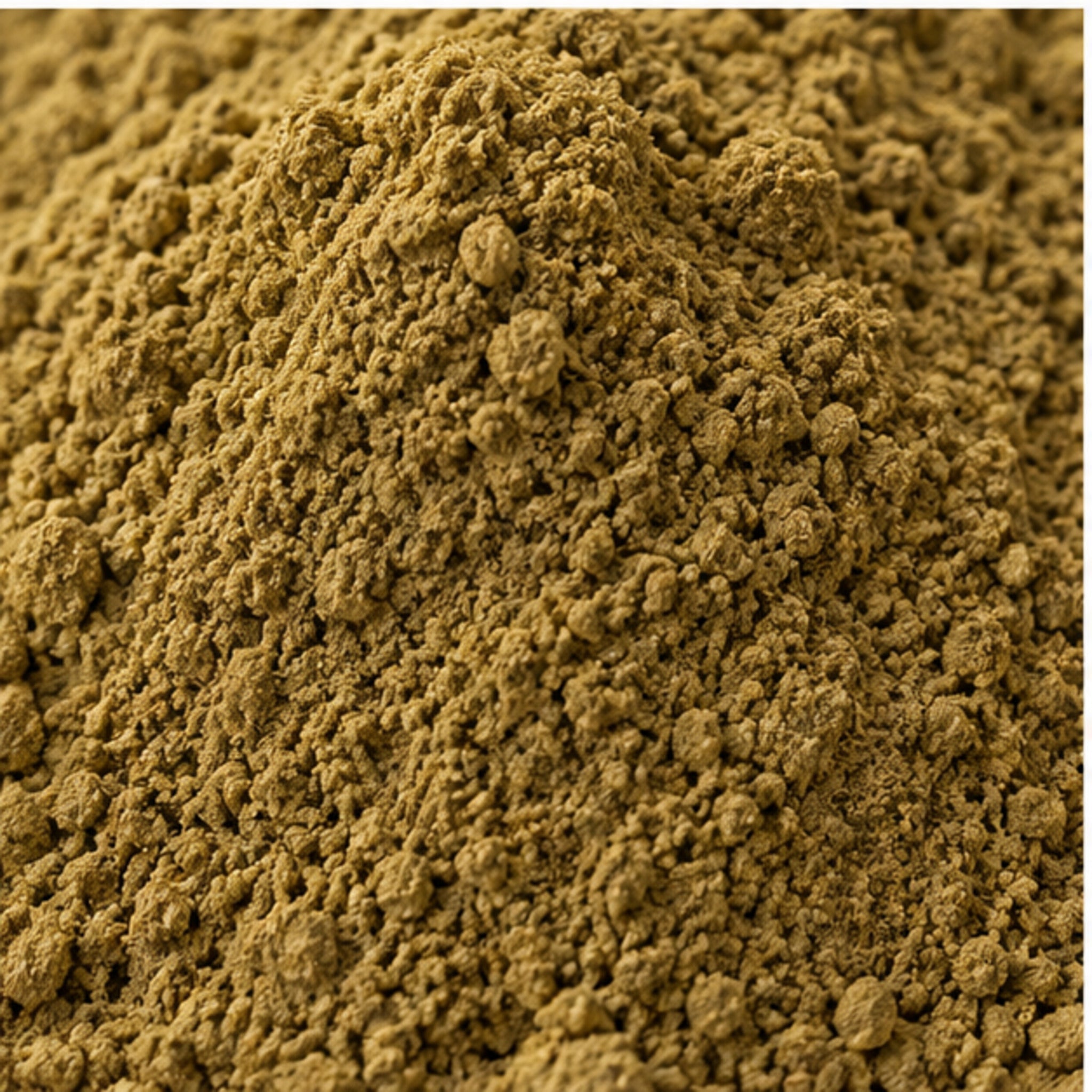 Heart Leaved Moonseed Powder 100g. Tinospora cordifolia vine image 3
