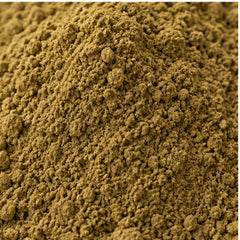 Heart Leaved Moonseed Powder 100g. Tinospora cordifolia vine image 3