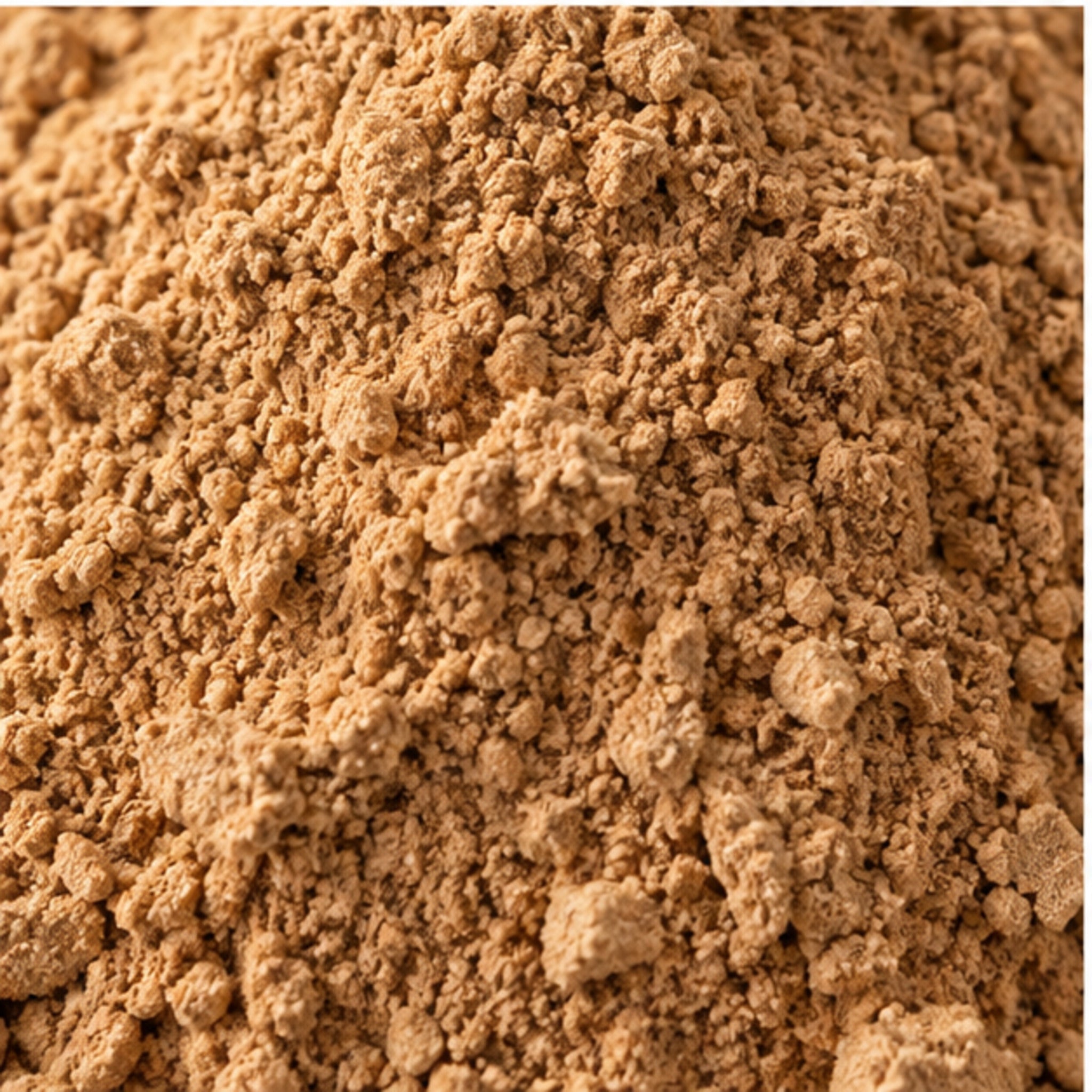Artocarpus Lakoocha Wood Powder 100g. image 3