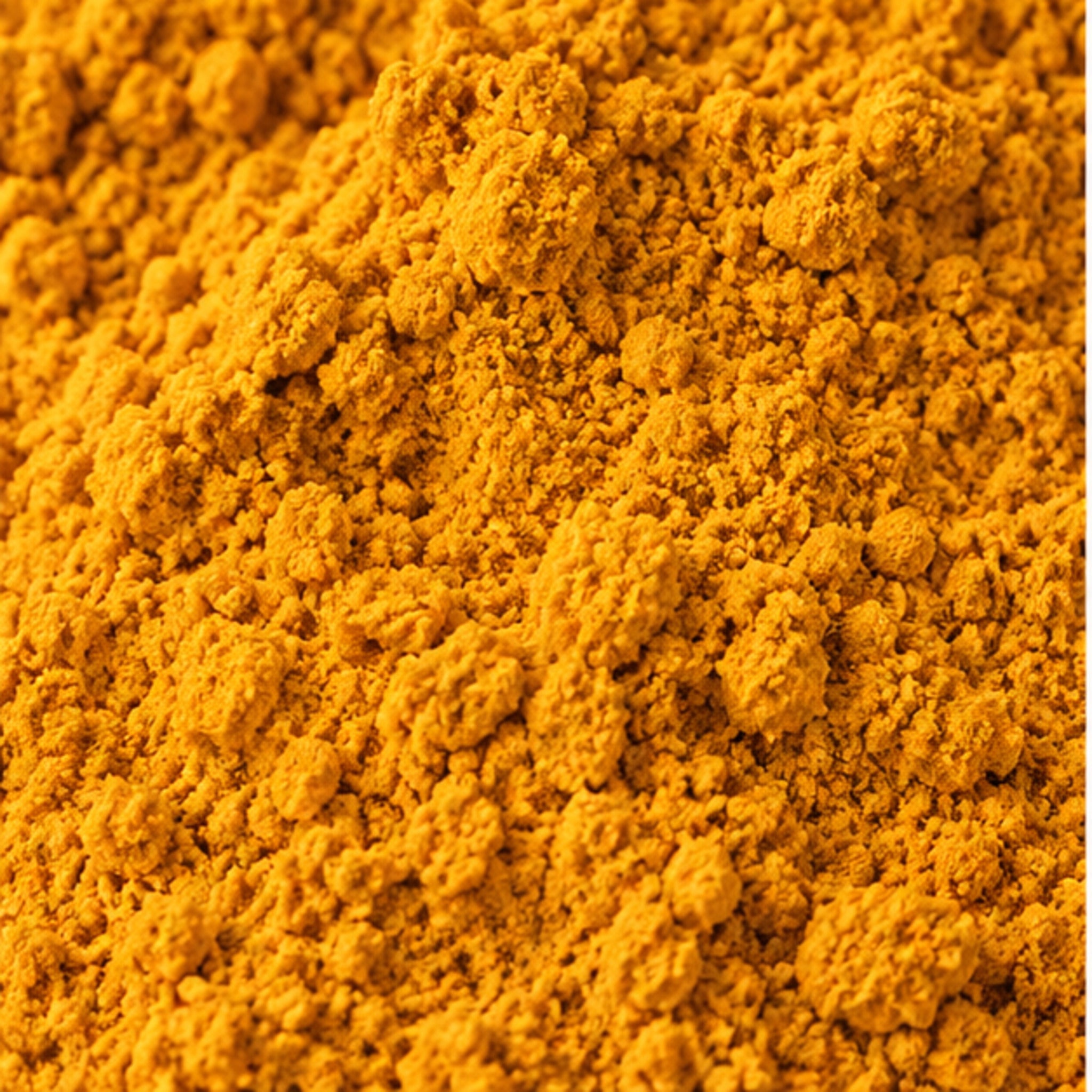 Temulawak Powder 100g | Curcuma Xanthorrhiza image 3