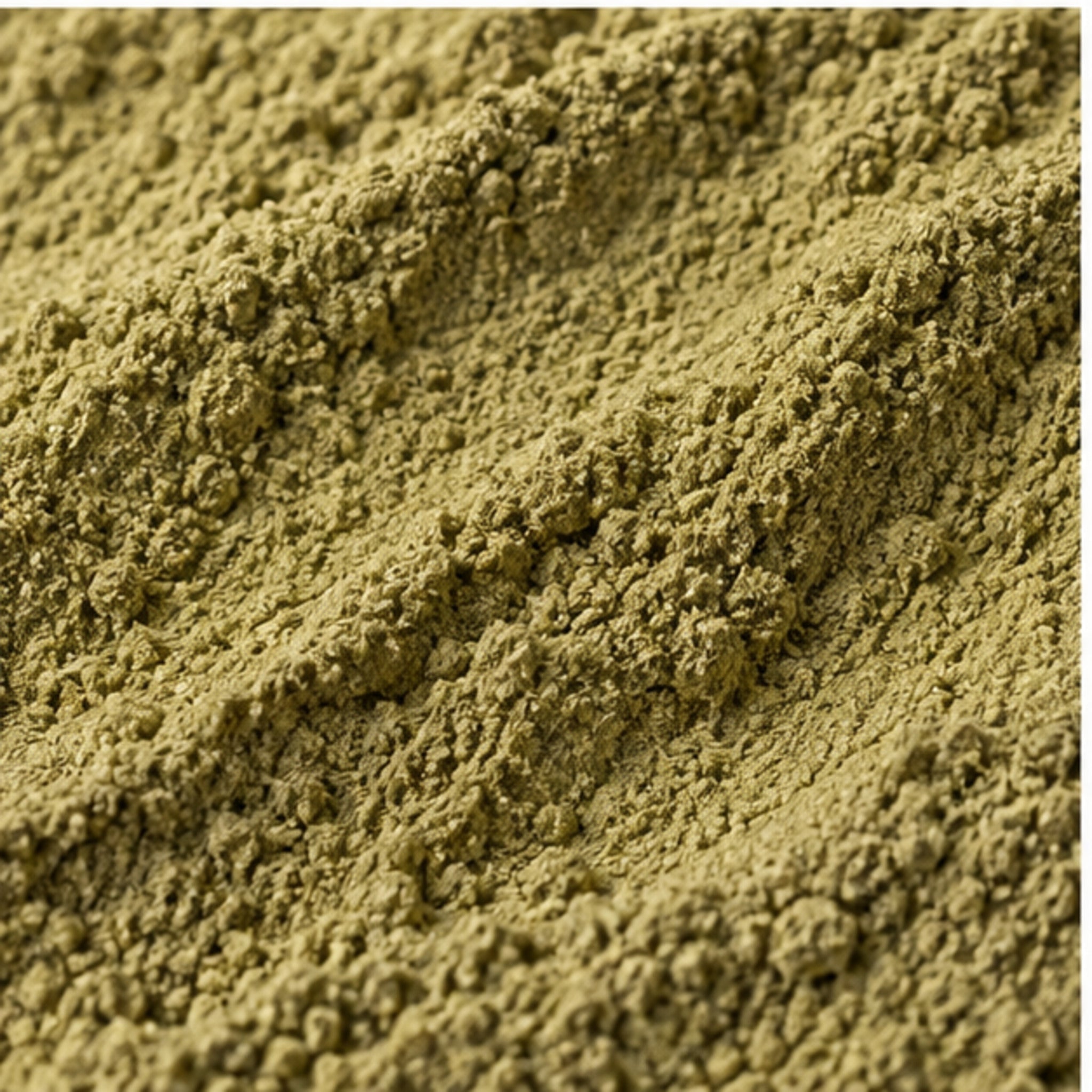 Bitter Melon Powder 100g. image 3