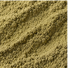 Bitter Melon Powder 100g. image 3