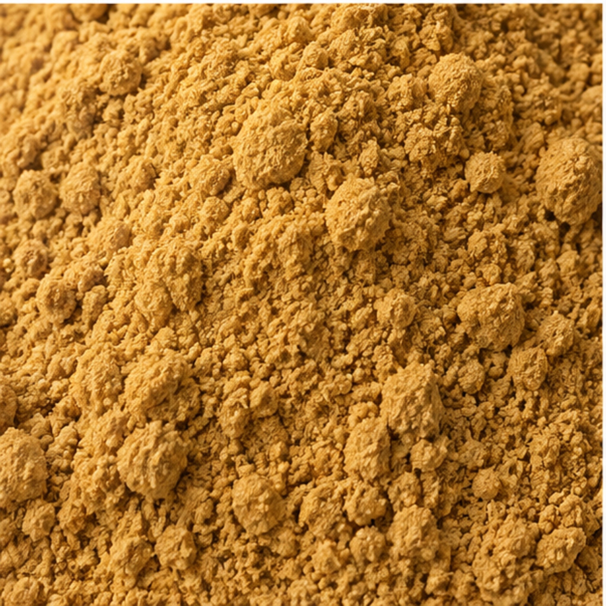 Zingiber Cassumunar Thai Plai Powder 100g | Phlai Botanical Powder image 3