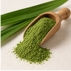 Pandan Leaf Powder 100g. Pandanus Amaryllifolius Leaves image 2