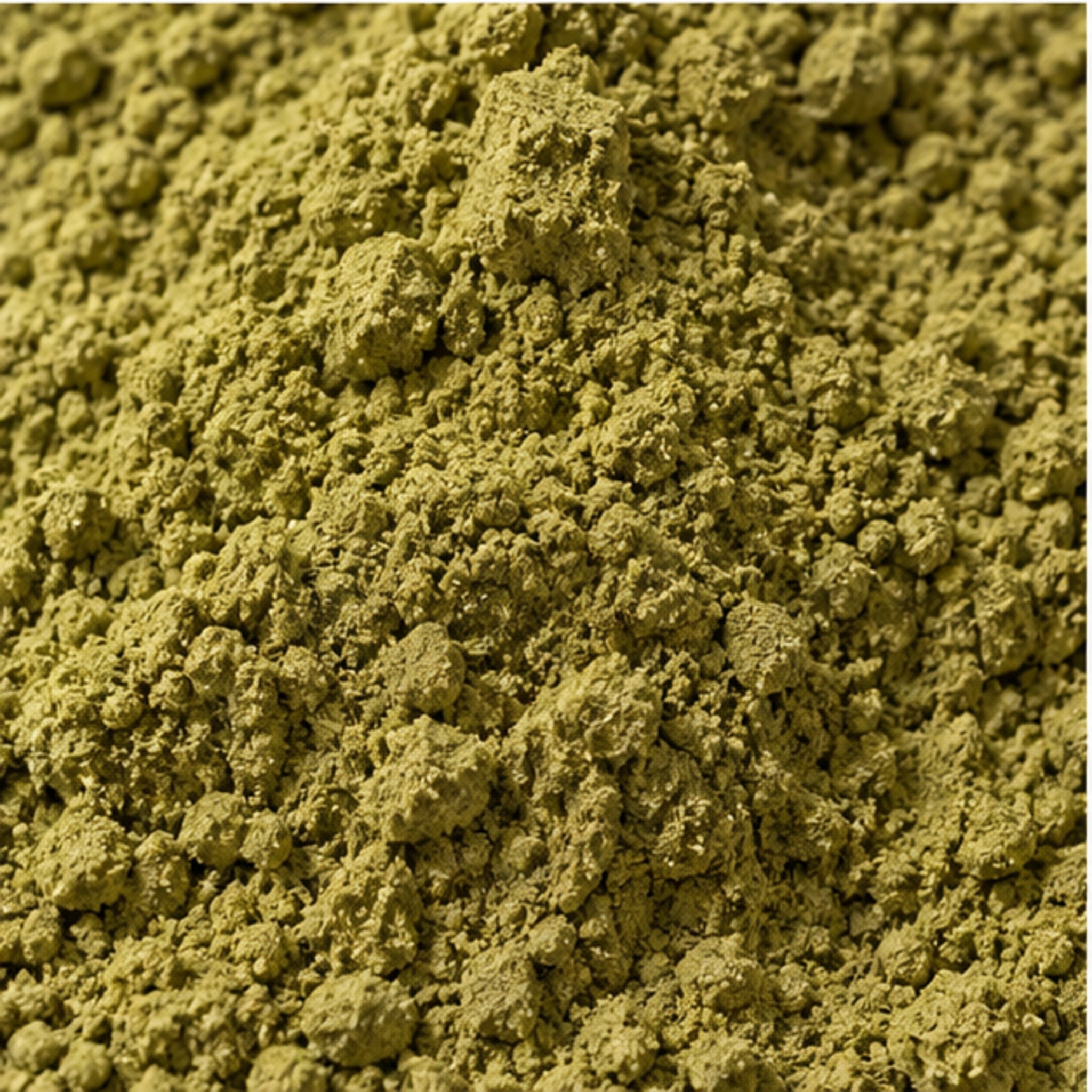 Ginkgo Biloba Powder 100g. image 3