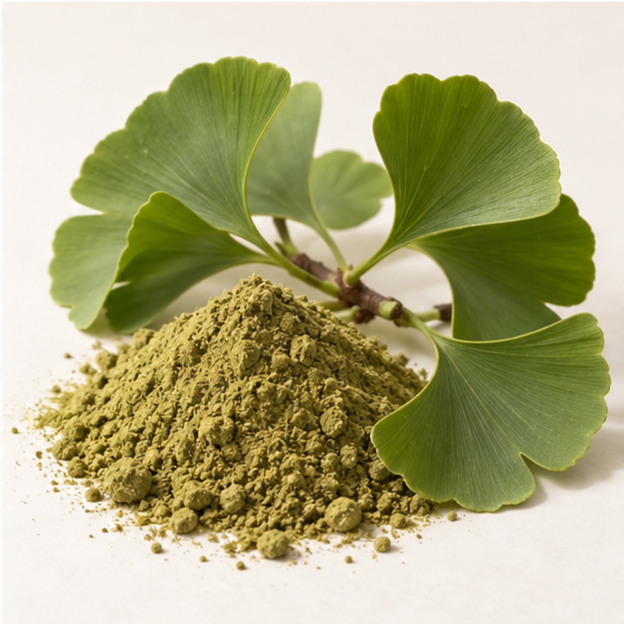 Ginkgo Biloba Powder 100g. image 4