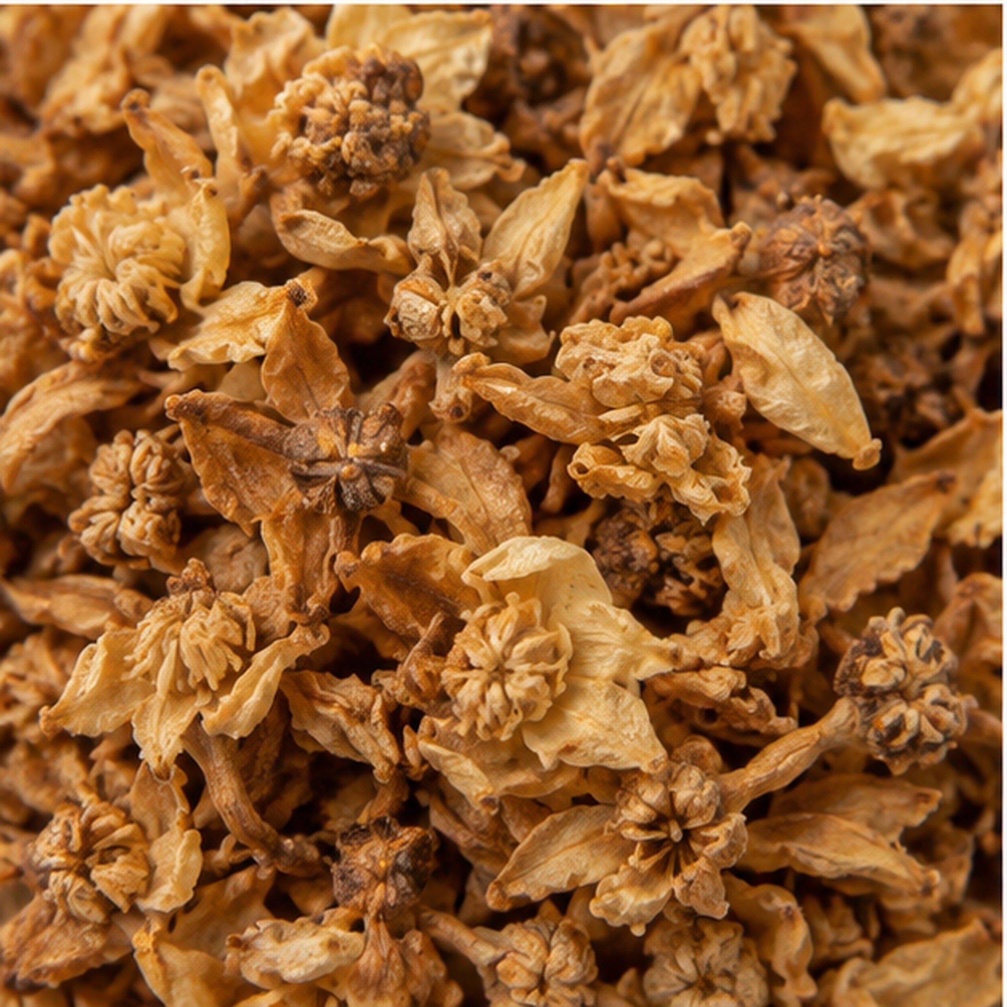 Dried Mammea Siamensis Flower 100g. Saraphi image 3