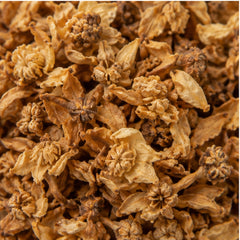 Dried Mammea Siamensis Flower 100g. Saraphi image 3