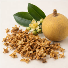 Dried Mammea Siamensis Flower 100g. Saraphi image 4