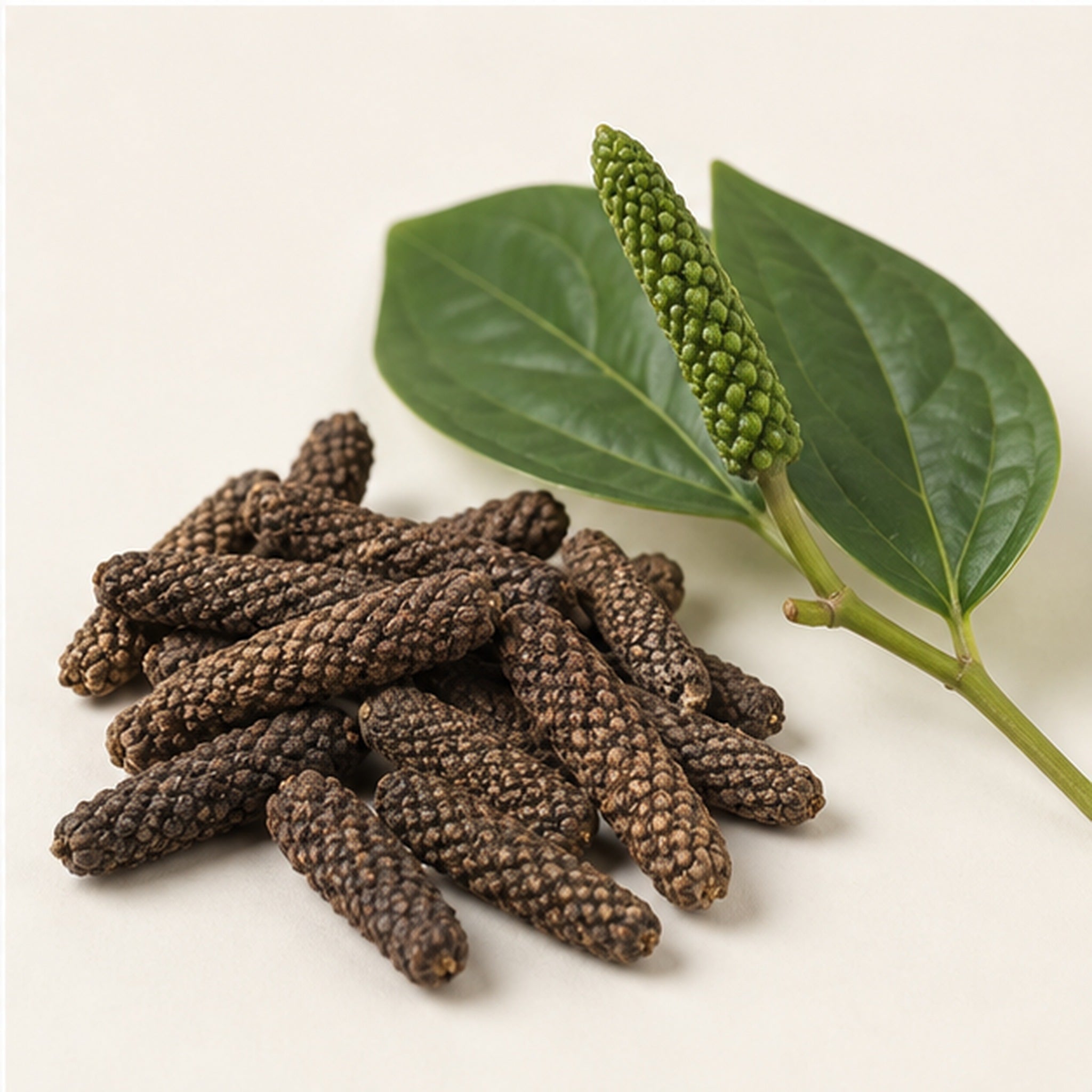 Dried Long pepper Pippali 100g. image 4