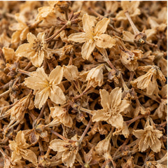 Dried Spanish Cherry 100g | Mimusops Elengi image 3
