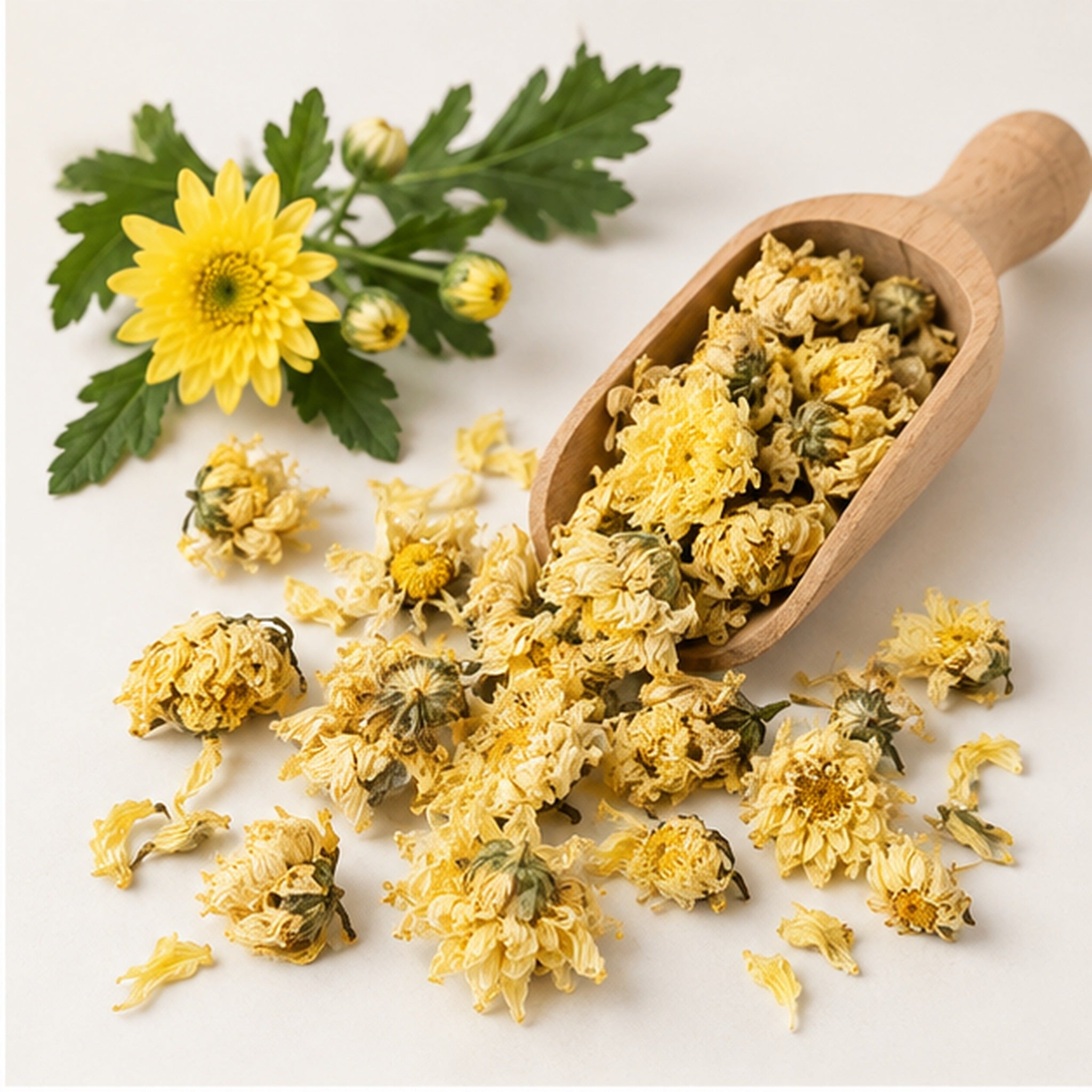 Dried Yellow Chrysanthemum 100g. image 2