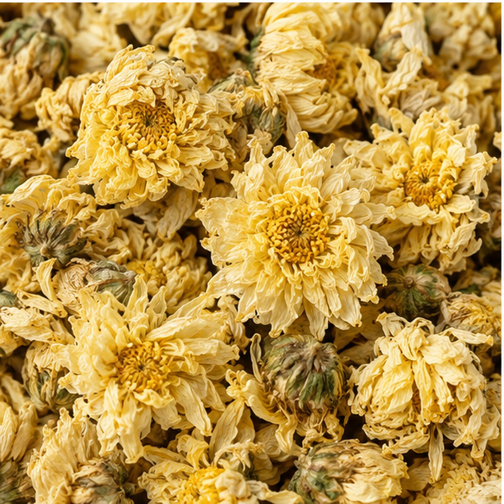 Dried Yellow Chrysanthemum 100g. image 3
